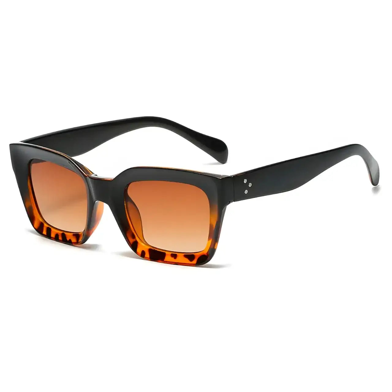 Dhawan Leopard-Black - Óculos de Sol / Gafas de Sol / Sunglasses